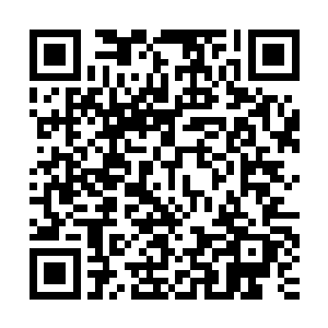 再从脊椎中间散布融入到全身四肢和所有关节的骨头的骨髓之中二维码生成