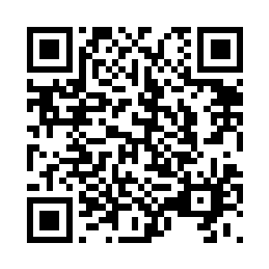 再使用木系魔法元素和土系魔法元素二维码生成