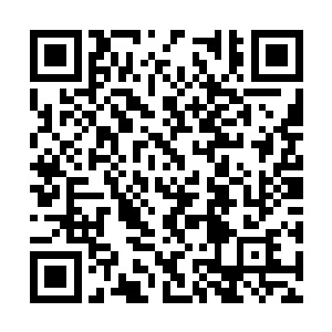 再出现之后便直接将那尊妖族大圣血脉碾压得粉碎二维码生成