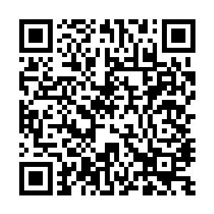 再加上不朽仙体鸿蒙至尊体鸿蒙至尊火以及苍灵如一这一招二维码生成