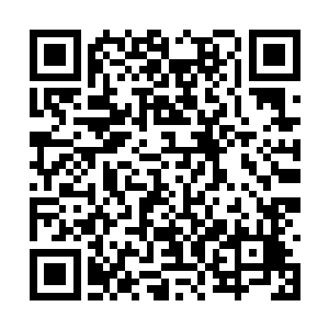 再加上从扇轻罗的洁白蚕蛹中分夺不少精纯的能量二维码生成