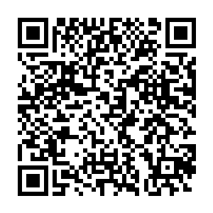 再加上俊朗的外表和优雅的谈吐才把冰绫这朵学校里的rose追到手二维码生成