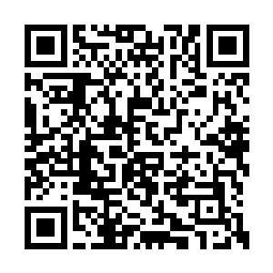 再加上冯贞儿当着赵大福的面跟严承悦跪下哭诉二维码生成