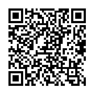 再加上又有另外一个时空在中低层厮混近四十年的人生阅历二维码生成