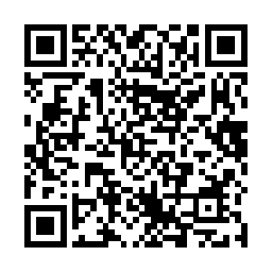 再加上晏晨离婚以后又高调快速和安氏集团的安少结婚二维码生成