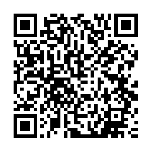 再加上李谦本身就是在整个国内娱乐圈都炙手可热的话题人物二维码生成