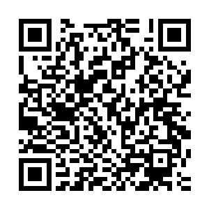 再加上楚旬这段时间都在全力灌入噬灭之焱融入到这火莲之中二维码生成