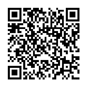 再加上楚旬那随着基因力量蜕变而提升的恢复能力二维码生成