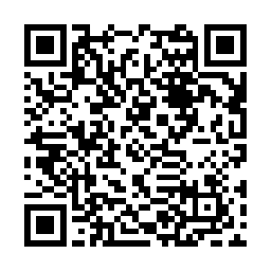 再加上此刻城墙上拥有远程攻击能量的异能者们也二维码生成