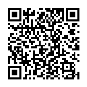 再加上此刻火鬼王直接说他拿出来的这张卡牌就是皇牌二维码生成