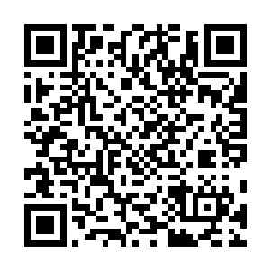再加上眼前数十名活死人渐渐将自己二人包围起来的迹象二维码生成