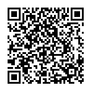再加上罗楼知晓据说那些所谓什么贵族起源的传说已经过了千年之久二维码生成
