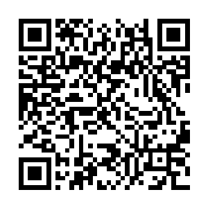 再加上老马特这次出海可是被很多船长婉言拒绝过二维码生成