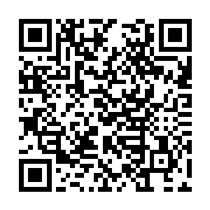 再加上这个时候很多记者都知道她正在外地做宣传二维码生成