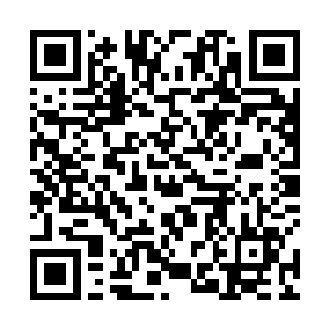 再加上那些仙人之间隐隐的戒备和对道场内情况的关注二维码生成