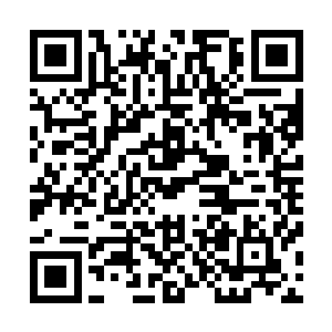 再回返房间时候从其手腕处取下一个不足十厘米长度的小蛇二维码生成