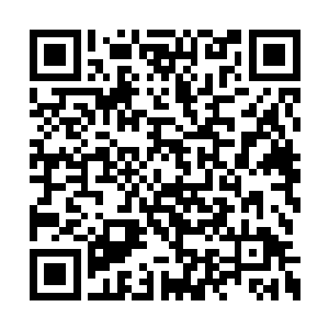 再多的话对龙傲天两个人也没有什么太大的用处二维码生成