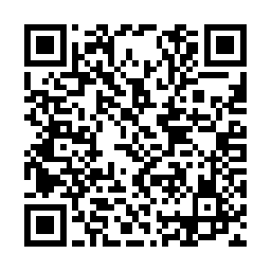 再好的库尔德人武装都不过是皮卡车加机关炮而已二维码生成