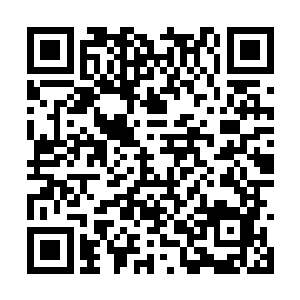 再将数十股如坠幽冥的恐怖气息陆续注入它的体内二维码生成