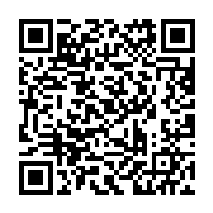 再度付出的艾小璐在迪达星方面的出手又是大获全胜二维码生成