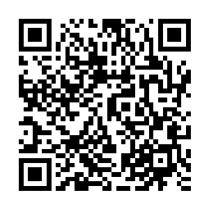 再强的高手也都有陨落的时候……蓬莱秘境的高手也不例外的二维码生成
