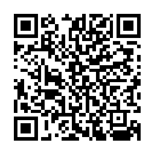 再想想唐劫如今在阴阳五行之道上的进径已注定不可能放弃此途二维码生成