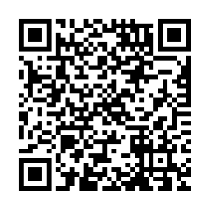 再想起自己这几个月在西陵刚开始忙碌的连吃饭的时间都没有了二维码生成