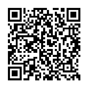 再把那个雷欢喜的龙王兰的新闻找出来给我看看二维码生成