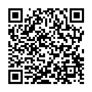 再有背景关系也没道理提供你一万年的充足修炼资源白养你二维码生成