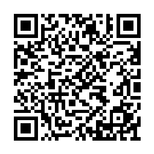 再次冷冷的望了一眼一脸阴谋得呈后的那种得意二维码生成