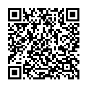 再次发生妖兽自爆妖丹轰炸猎海神舟的事情就不好了二维码生成