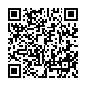 再次向那坑洞上被隔开的镜面般的水面凝视而去二维码生成