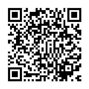 再次独家爆料了珍妮弗和乔什在纽约时代广场牵手的照片以后二维码生成