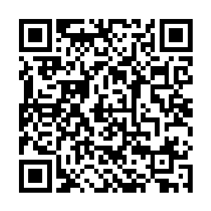 再添加一个七转战力……此事我定要汇报给影无邪大人二维码生成