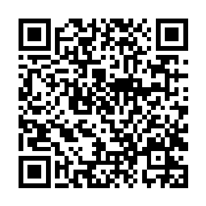 再紧接着用力一抬就将坐在浴桶中的夭华给拽了起来二维码生成