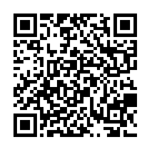 再说之前提前收了别人好几亿的世子智能系统授权费二维码生成