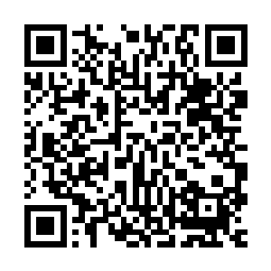 再说了上次我弄回来的那些钱不是足够我们家使用一段时间的么二维码生成