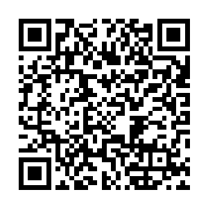 再说了树上确实是记载了一种魔兽是从蛋里面生出来的鱼二维码生成