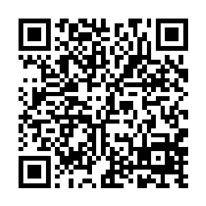 再说任务栏里也没写……投降后就会被传送出剧本吧二维码生成