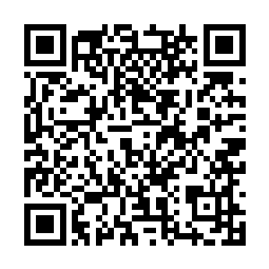 再说我们的小苏门也不会舍得这么快就和你们分离二维码生成