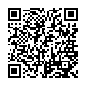 再说这位凌夫人长的和姑姑还有明若一点都不像二维码生成