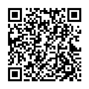 再说鸿蒙魔族也很难接受一个非魔族来领导他们二维码生成