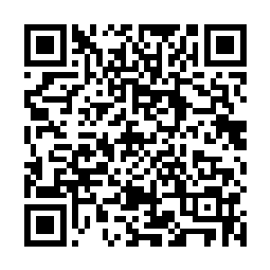 再配合上霸王之魄的力道加成和墨家剑法中的精妙招式二维码生成