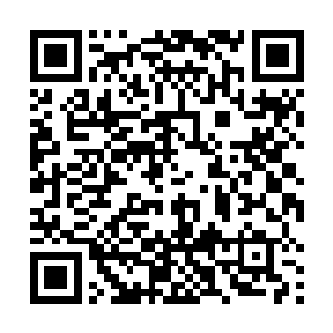 军国政务这种新鲜时事总比枯燥玄奥的经典学问有趣罢二维码生成