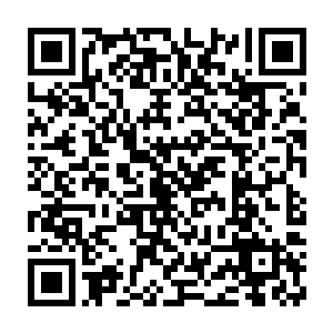 军部居然将这个军用训练系统的使用权同时开放给帝国综合学院了二维码生成
