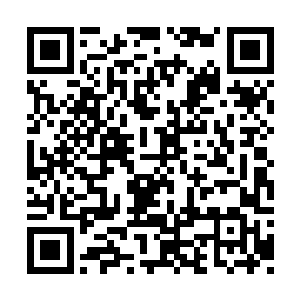 军队国家化是我辈军人毕生追求的强国必由之路二维码生成