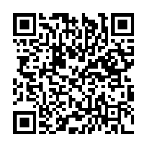 冥凤大人似乎也没有插手灰烬之塔内部事宜的意思二维码生成