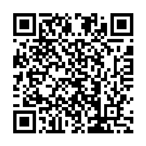 冥凤已经来不及想杰西卡是如何解开自己的星界封印了二维码生成