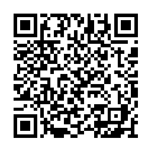 冥王佣兵团的那些人恐怕连骨头渣子都剩不下了二维码生成