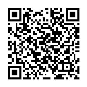 冥神宫所在的位置与自己本尊遗骸所在的阎水河在同一方向二维码生成